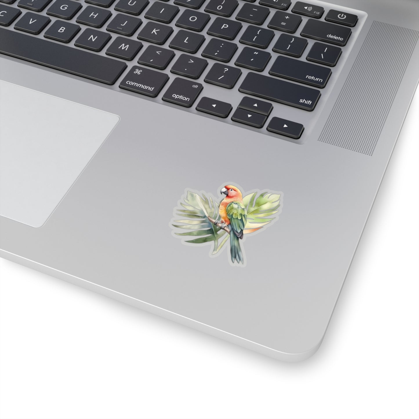 Parrot and Leaves Indoor Vinyl Sticker