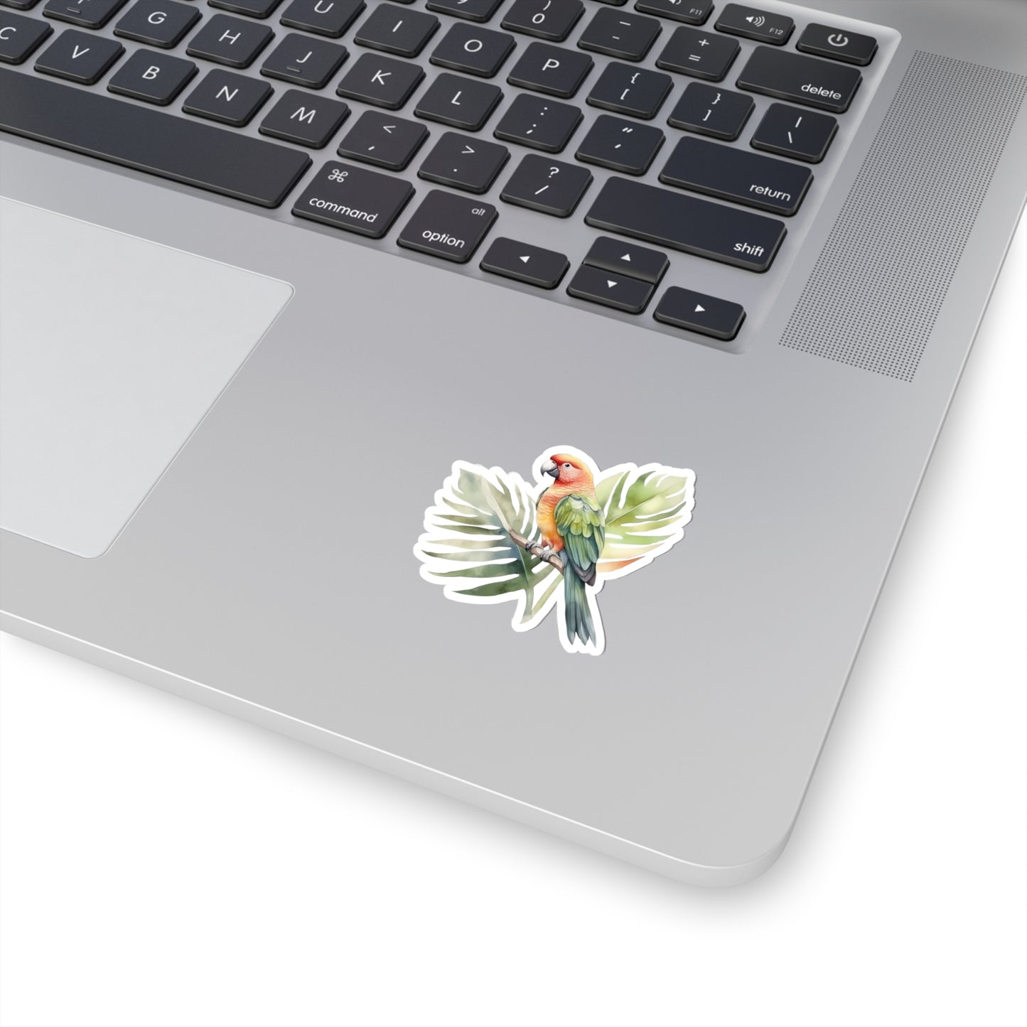 Parrot and Leaves Indoor Vinyl Sticker