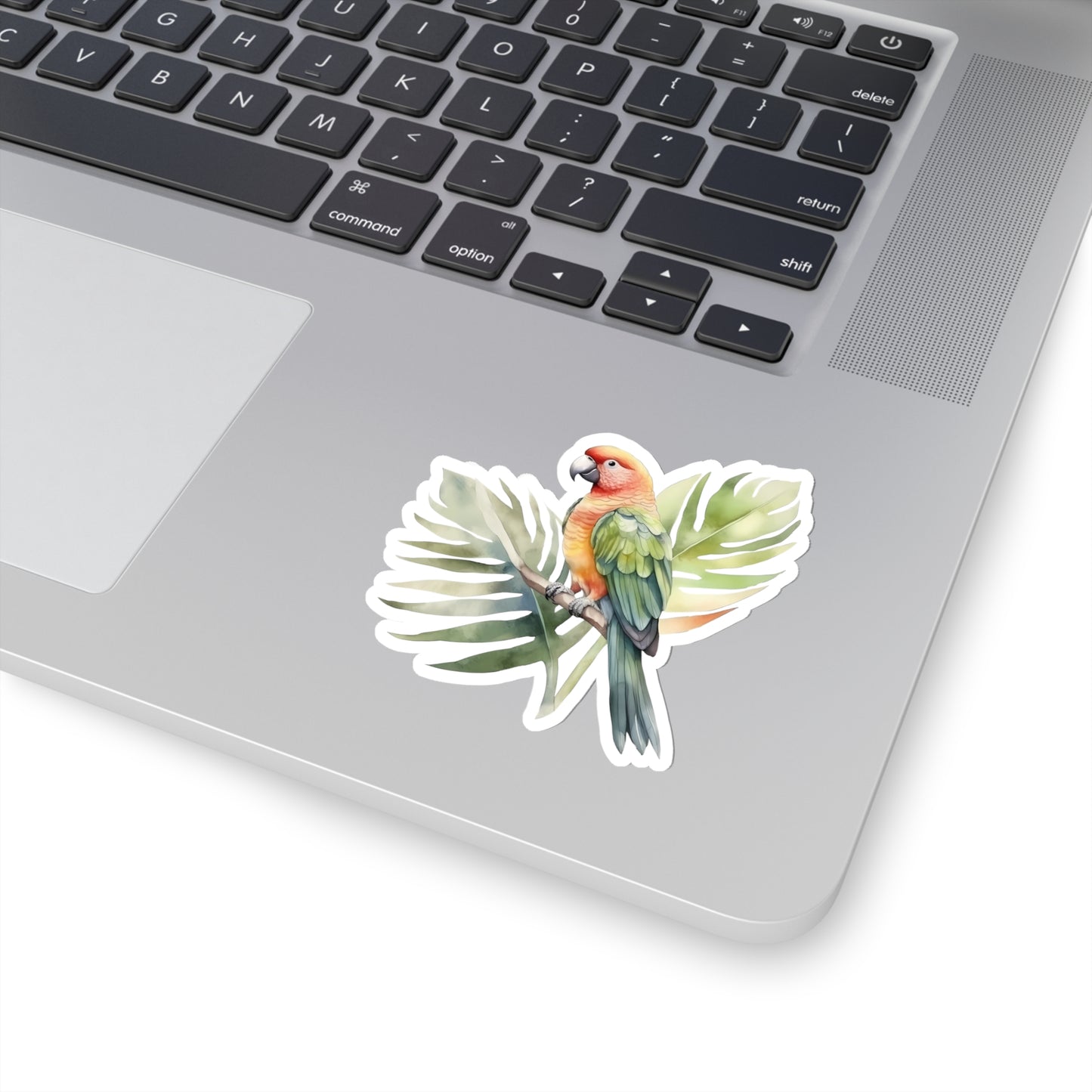 Parrot and Leaves Indoor Vinyl Sticker