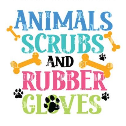 Animal Scrubs and Rubber Gloves Badge Reel and Keychain